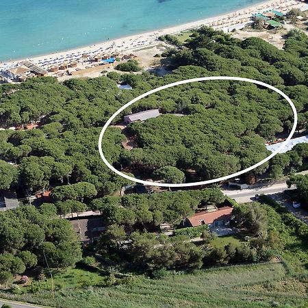 Hotel Villa Nettuno Marina di Campo Luaran gambar